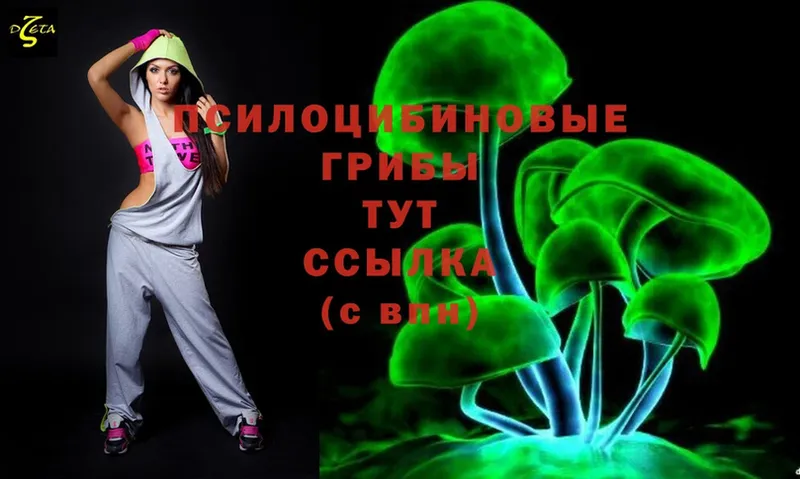 Псилоцибиновые грибы Psilocybine cubensis  Барыш 